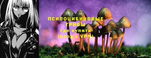 экстази Богданович