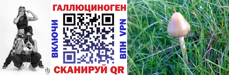 Галлюциногенные грибы MAGIC MUSHROOMS  Шали 